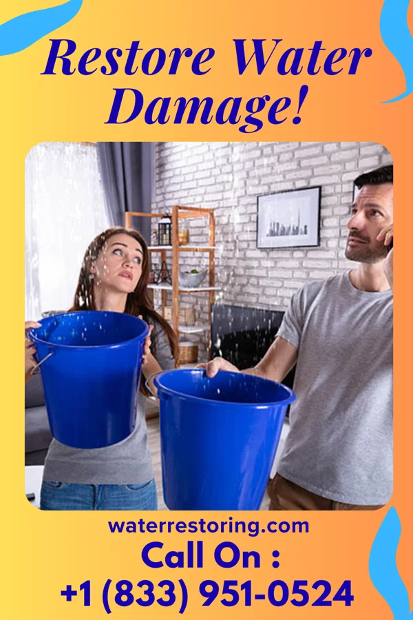 water restoration Vigilant Disaster Cleanup Network Delaware Water Gap