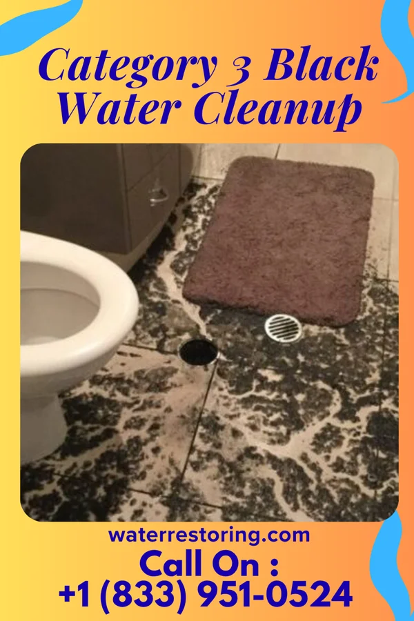 Category 3 Black Water Cleanup in Delaware Water Gap, PA