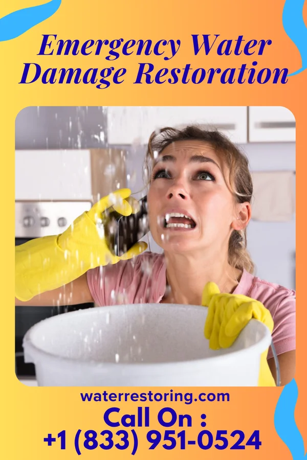 Emergency Water Damage Restoration in Delaware Water Gap, PA