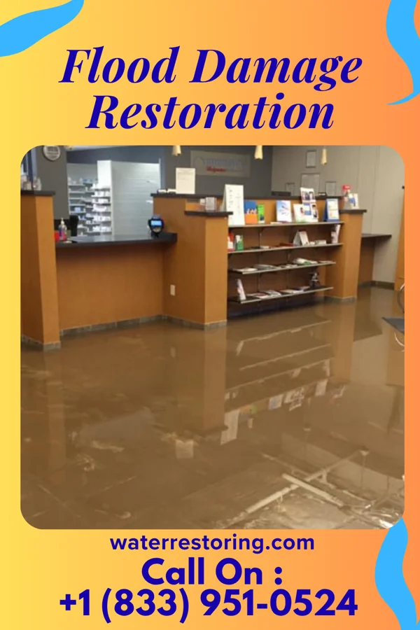 Flood Damage Restoration in Delaware Water Gap, PA