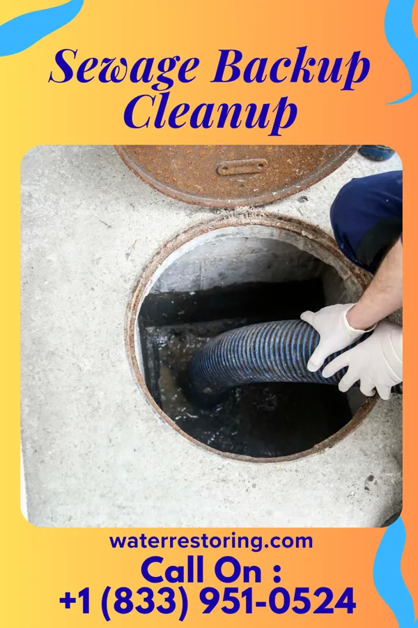 Sewage Backup Cleanup in Delaware Water Gap, PA