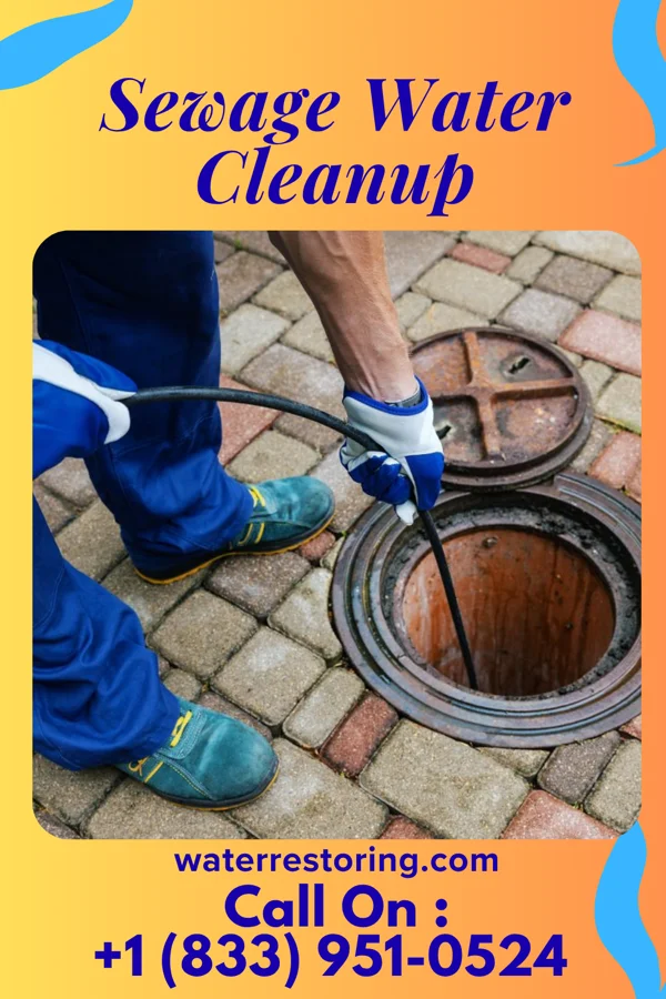 Sewage Water Cleanup in Delaware Water Gap, PA