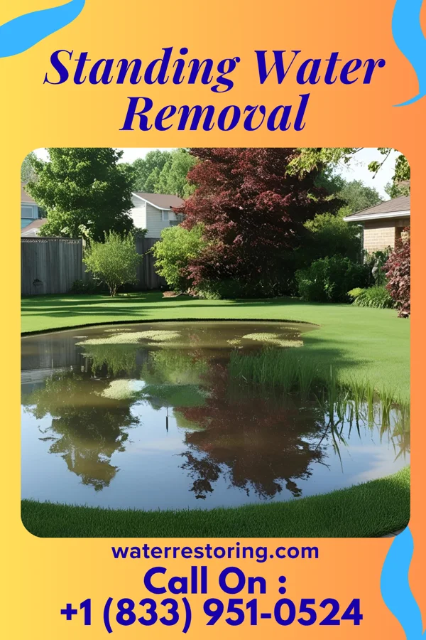 Standing Water Removal in Delaware Water Gap, PA